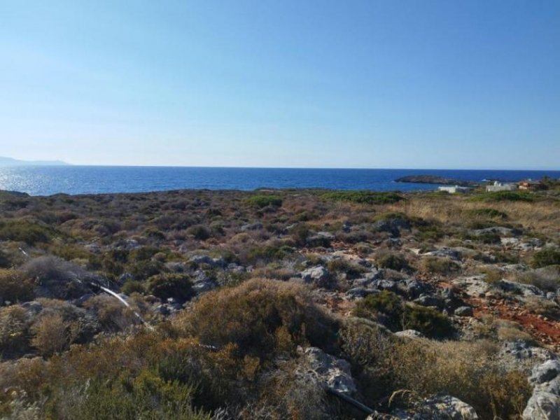 Stavros Kreta, Stavros: Küstengrundstücke mit Baugenehmigung und Meerblick zu verkaufen Grundstück kaufen